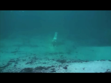 Real Mermaid Caught on Camera? | Paranormal | Before It's News